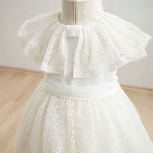 Tulle delight dress