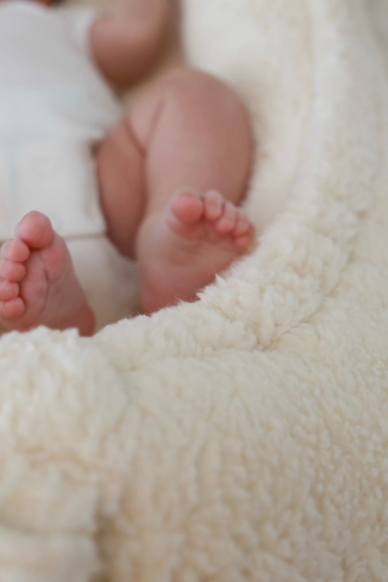 Babynest teddy